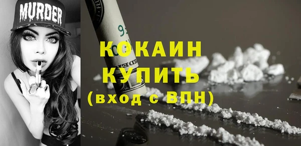гидра Пересвет