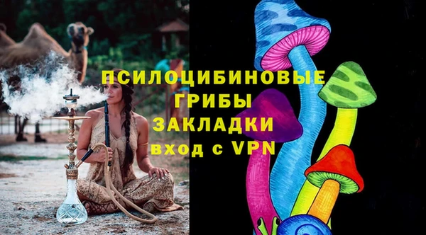гидра Пересвет