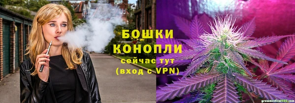 гидра Пересвет