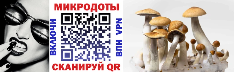 Галлюциногенные грибы мухоморы  Купить где  Усть-Джегута 